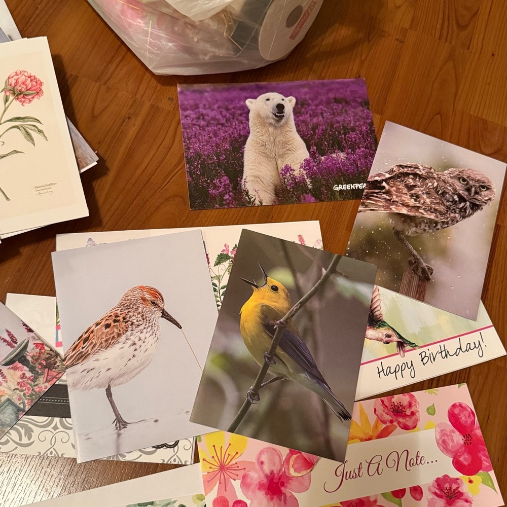 Random Cards, Party, Scrapbook Supplies - Picture 10 of 16